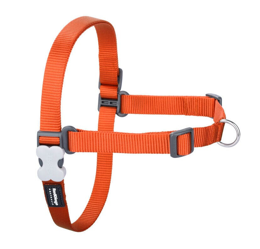 Arnês para Cães Red Dingo Laranja S
