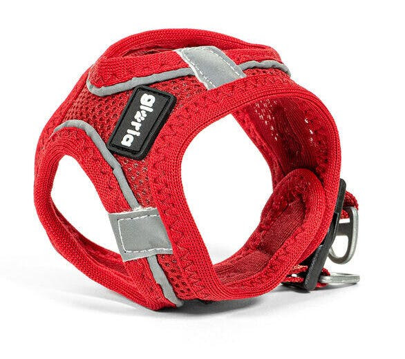 Arnês para Cães Gloria Trek Star Vermelho XS