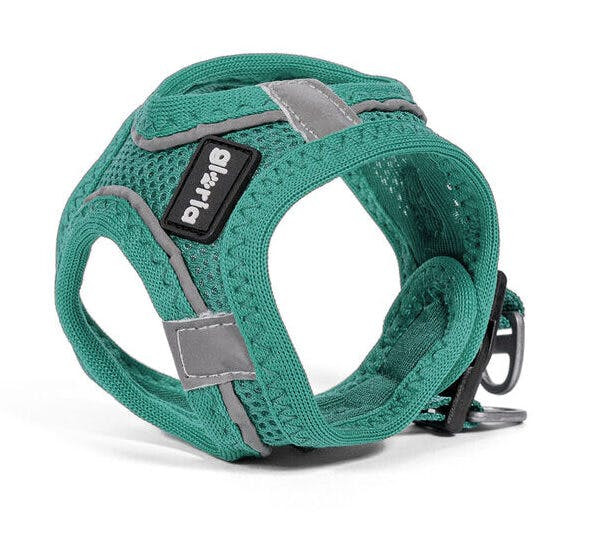Arnês para Cães Gloria Trek Star Turquesa M