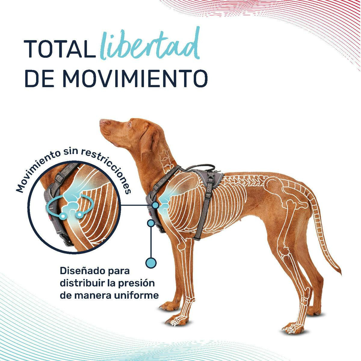 Imagen 4