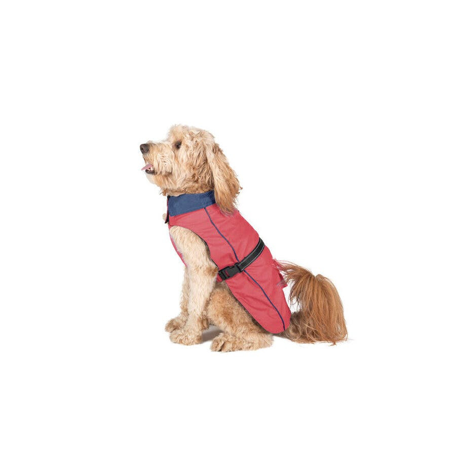 Gabardina para Cães Dog Gone Smart Coral 40 cm