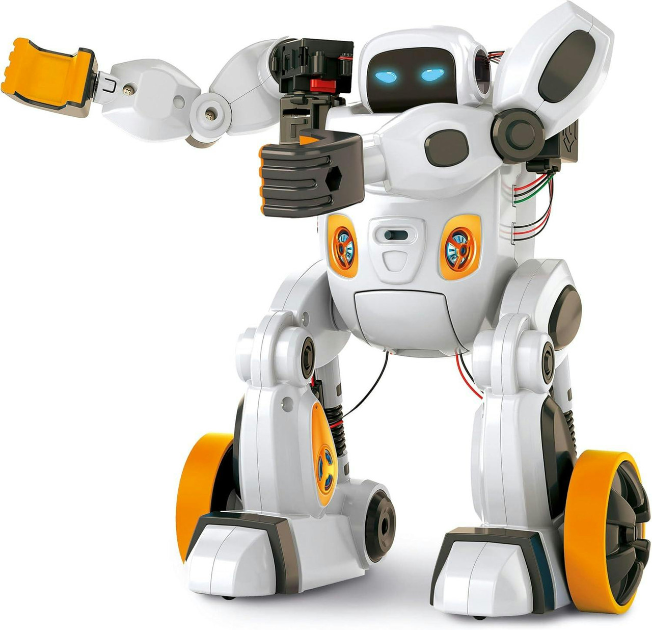 Robot interativo Airo