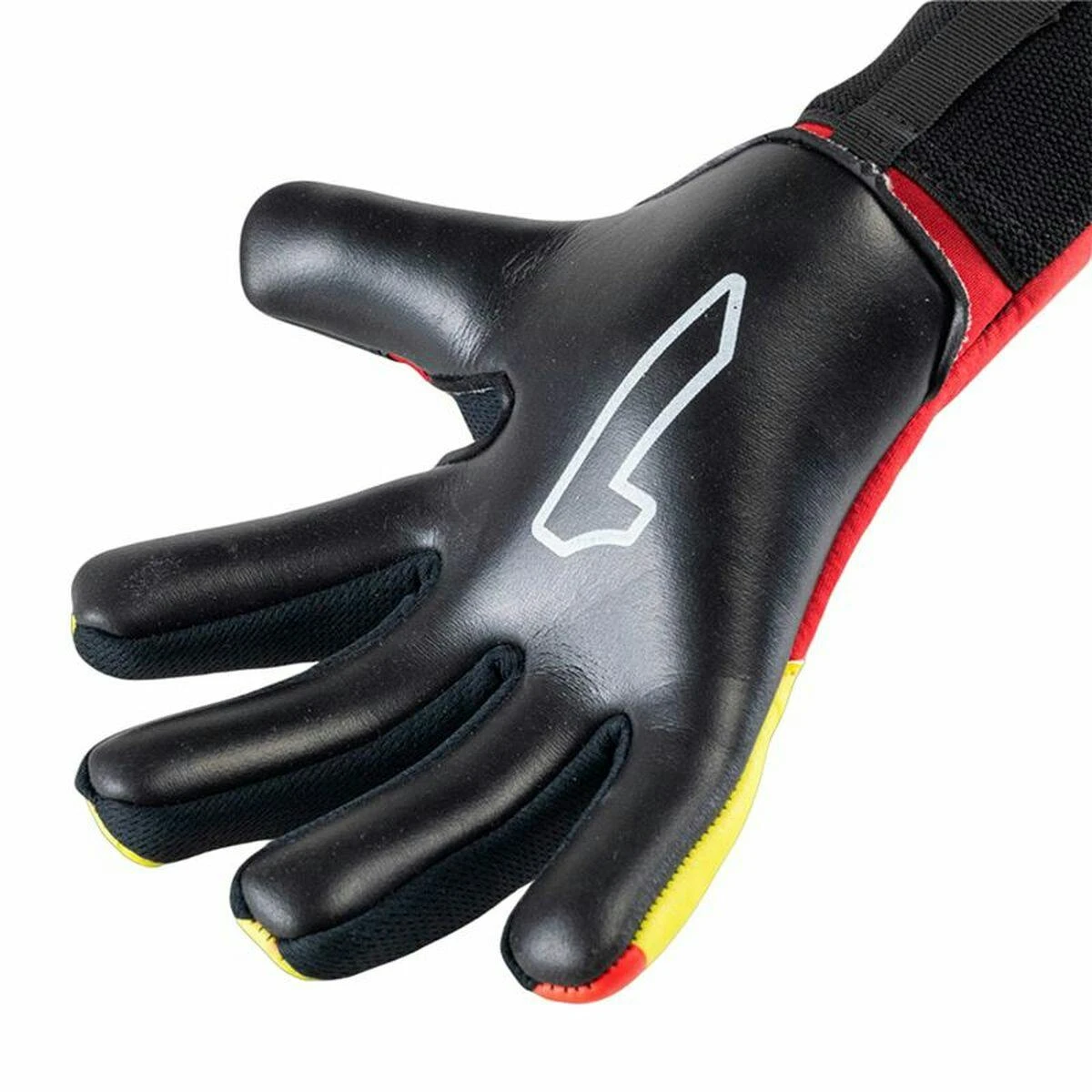 Image 3