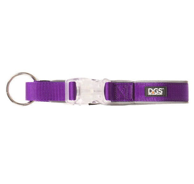 Coleira para Cães Dog Gone Smart Roxo 12 Leve