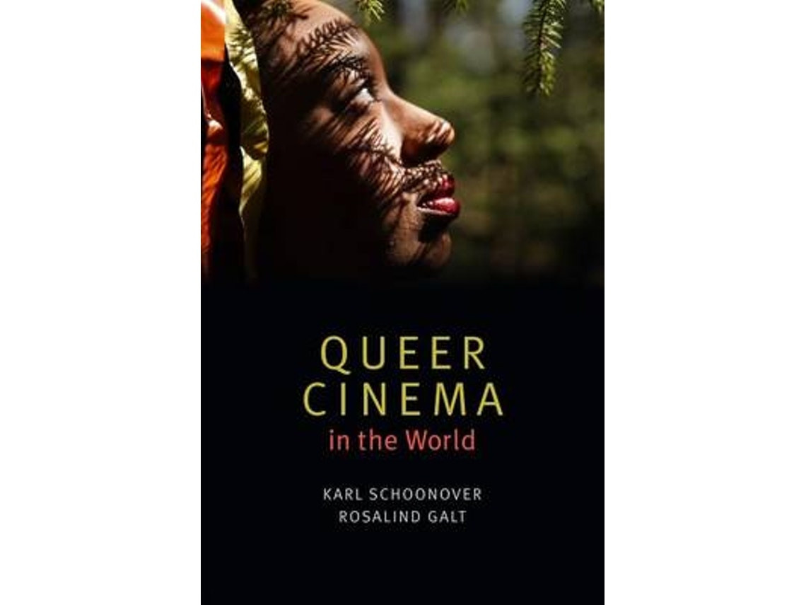 Queer Cinema in the World de Karl Schoonover y Rosalind Galt (Inglés)