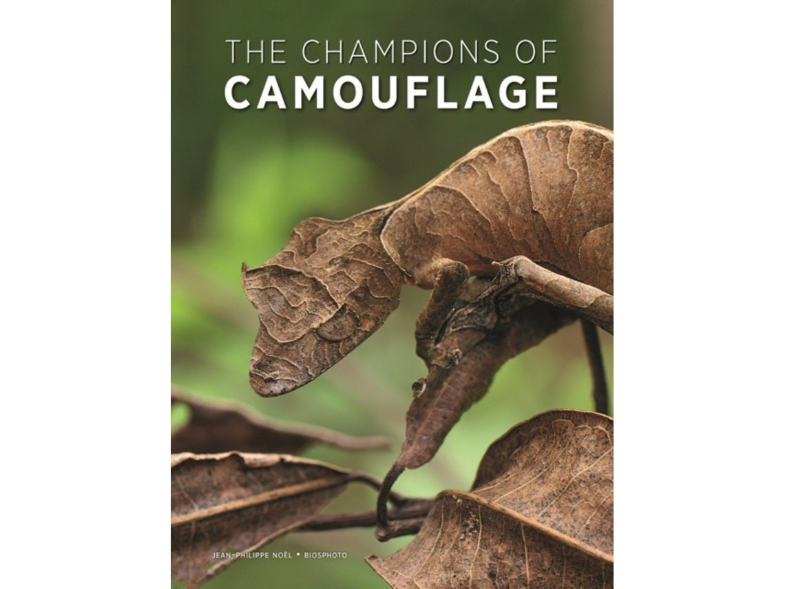 The Champions of Camouflage de Jean-Philippe Noel (Inglés)