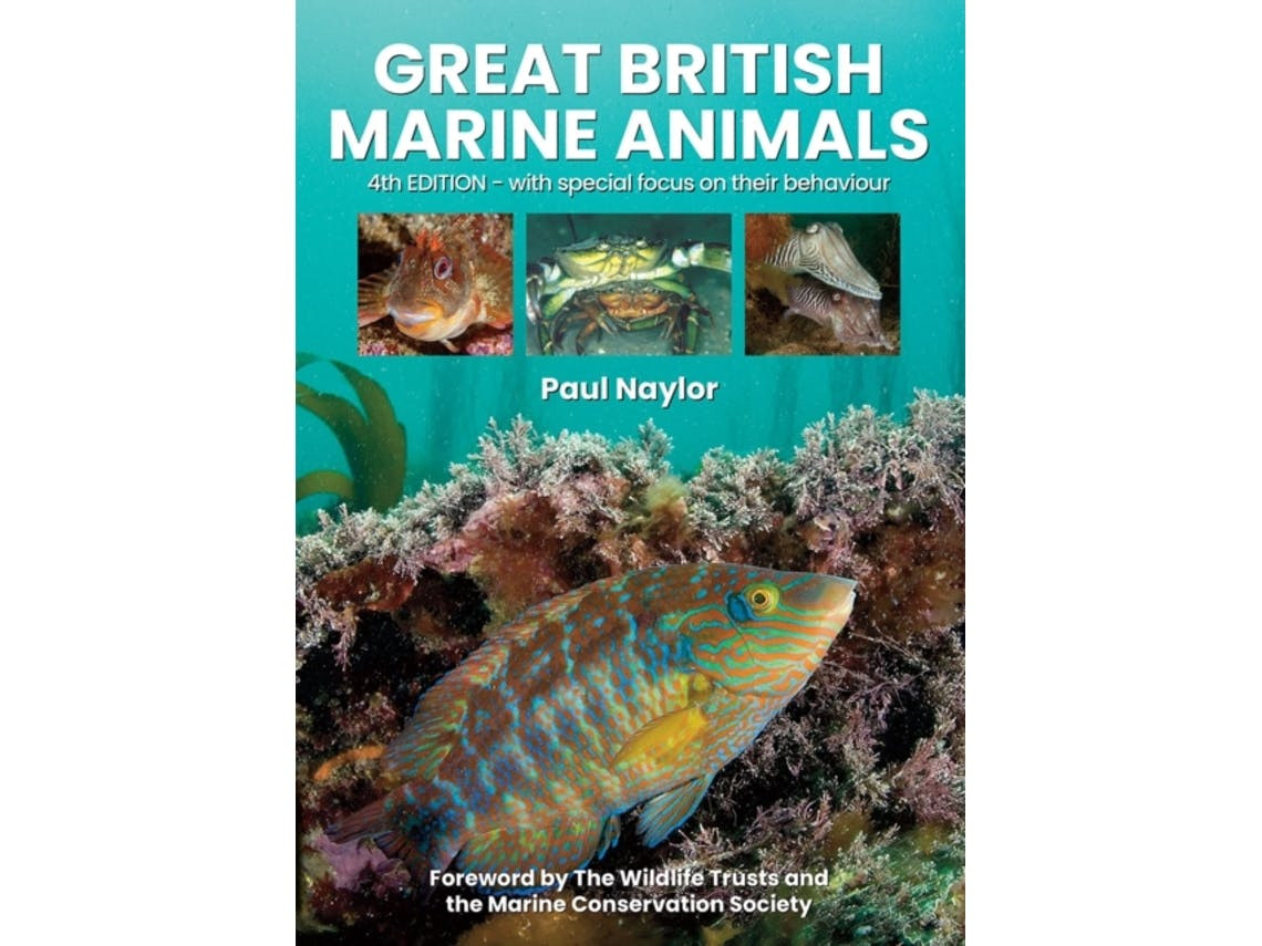 Great British Marine Animals de Paul Naylor (Inglês)