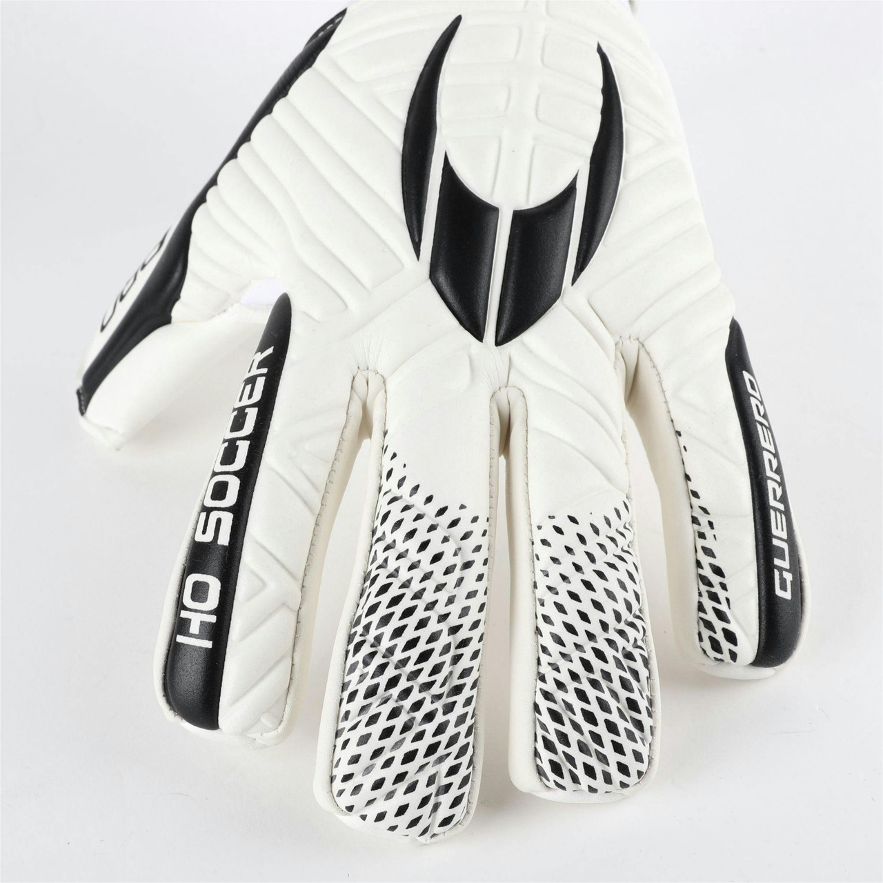 Imagen 6