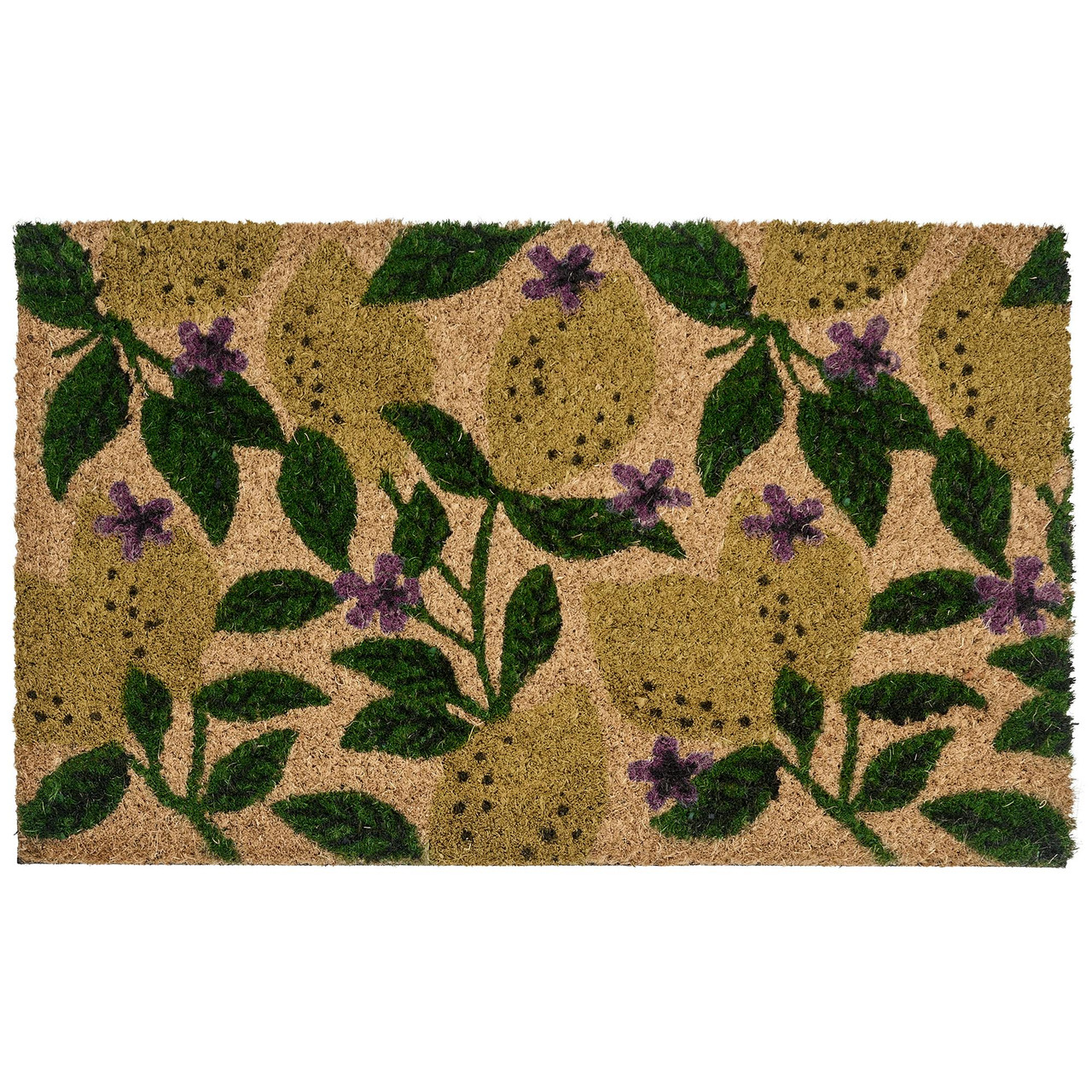 Tapete de entrada TAZLINA Multicolor 45 x 75 cm Limão Fibra de coco