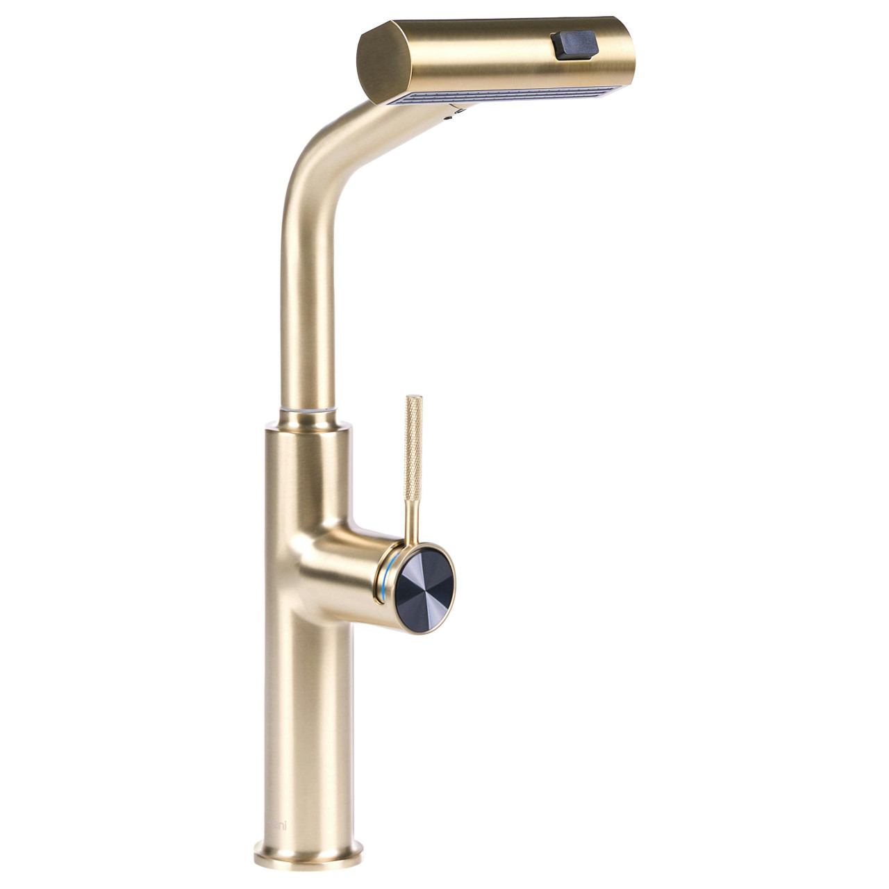 Torneira de cozinha extraível PEGUCHE Dourado