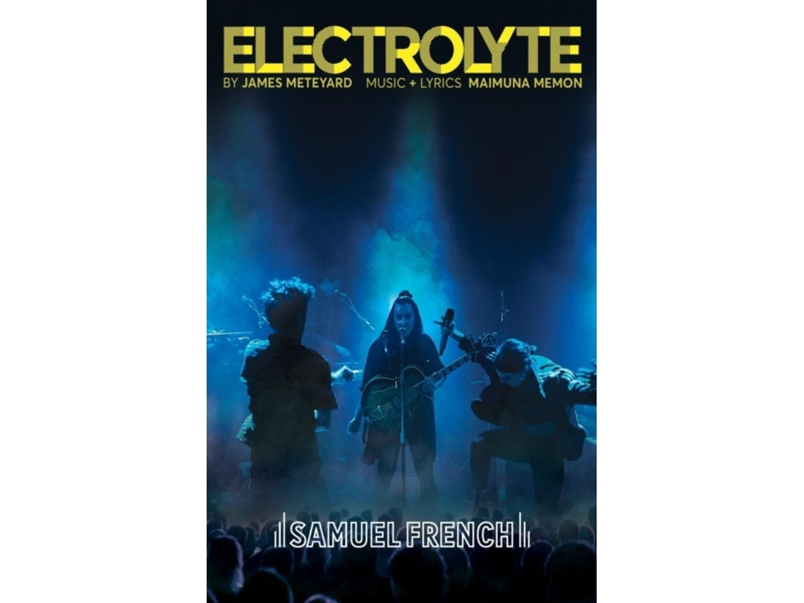 Electrolyte de James Meteyard (Inglés)