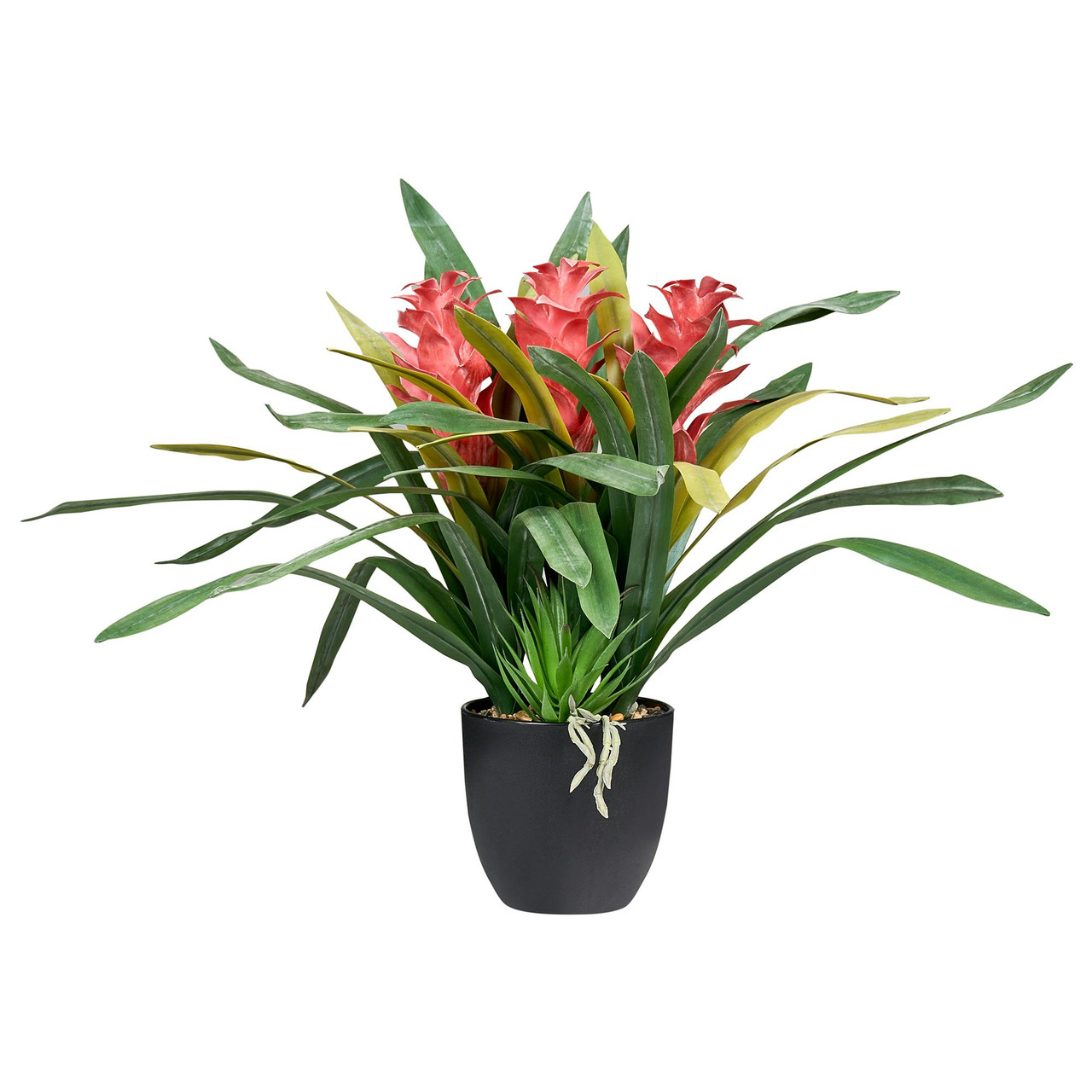 Planta artificial BELIANI Guzmania Atilla de Material sintético Verde 56x56x50