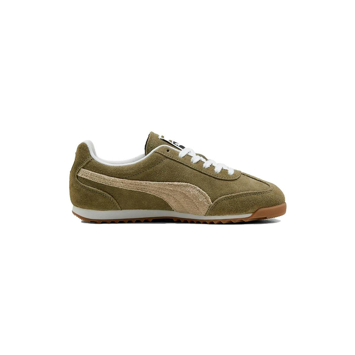 PUMA ARIZONA SD