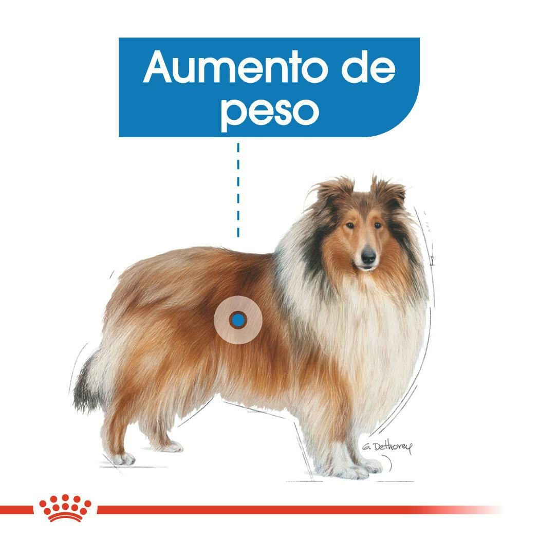 Imagen 6
