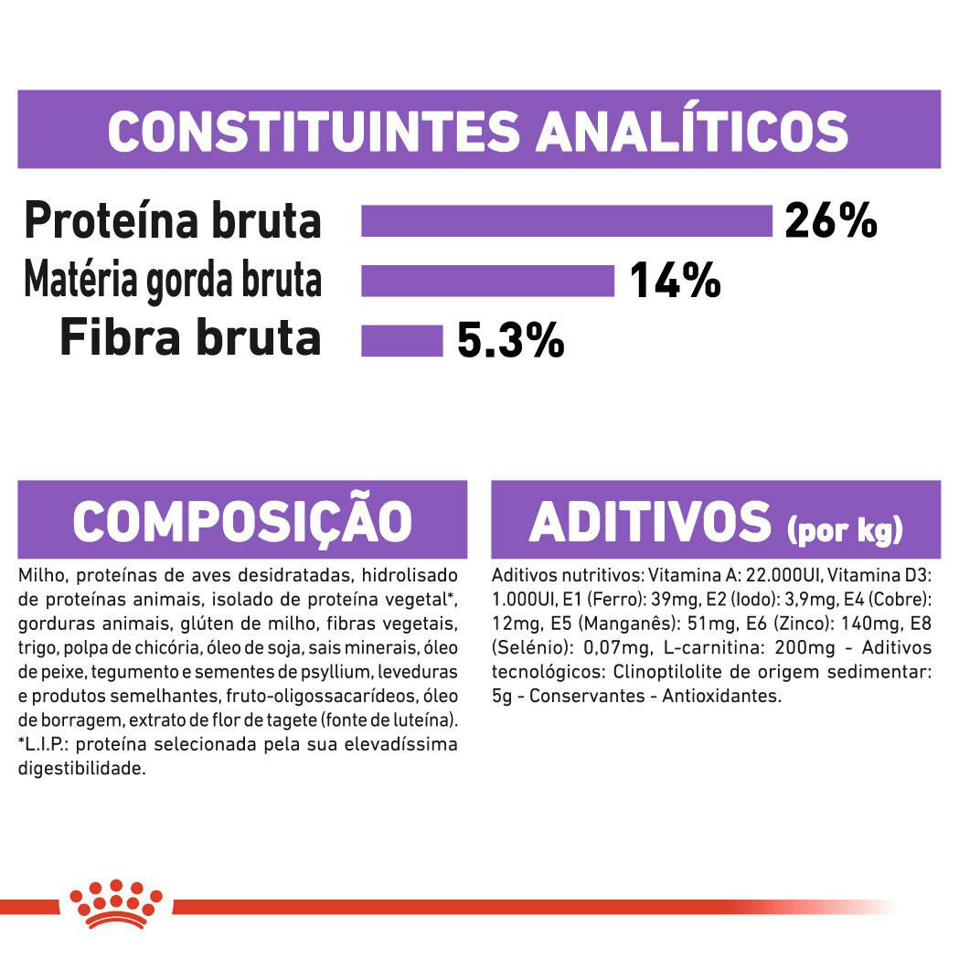 Imagen 5