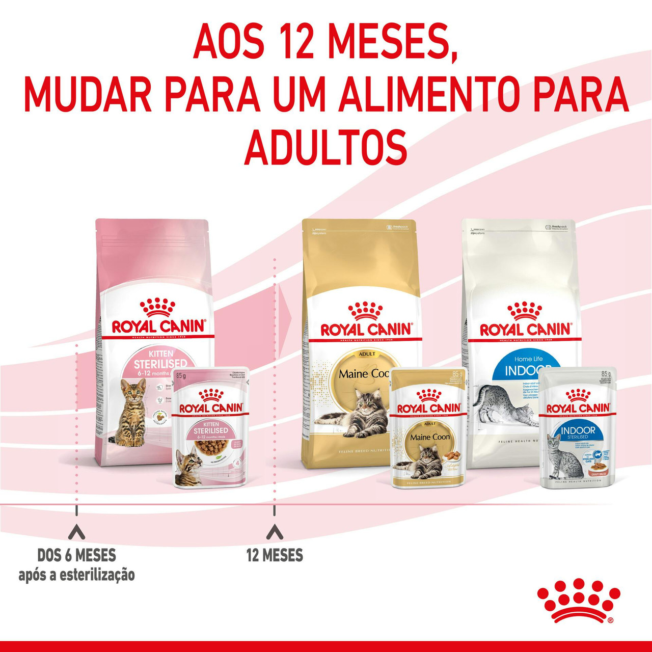 Imagen 10