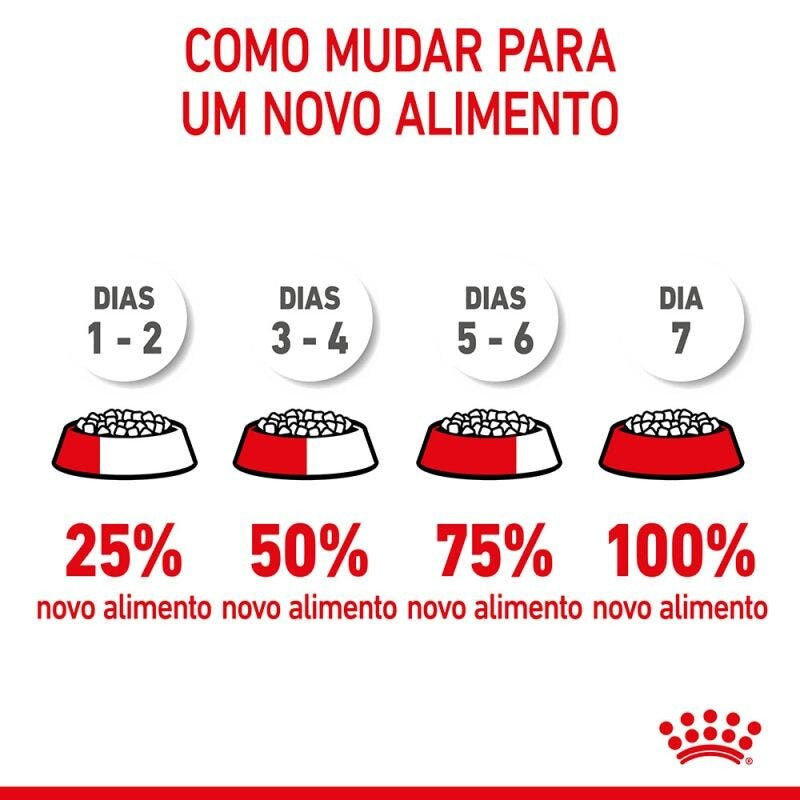 Imagen 8