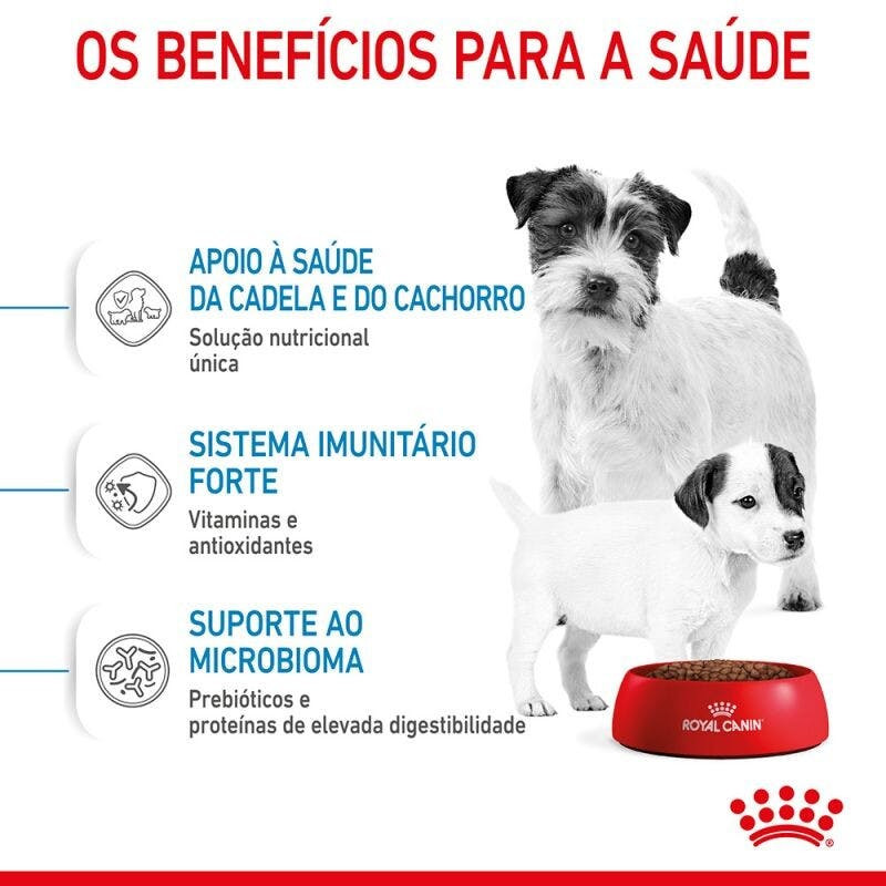 Imagen 9