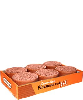 Colombine Pickstone Red Tray 5+1 6 X 600 G Versele-Laga - 5410340124017