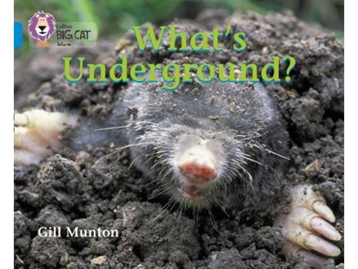 What's Underground by Gill Munton (English)