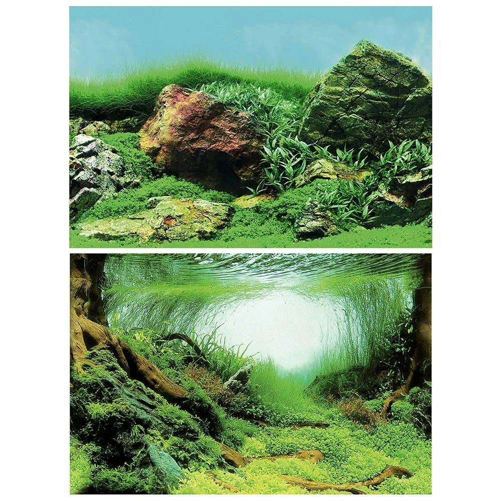 Poster P/ Aquario Dupla Face C4 120X49 Cm - EXP5579C