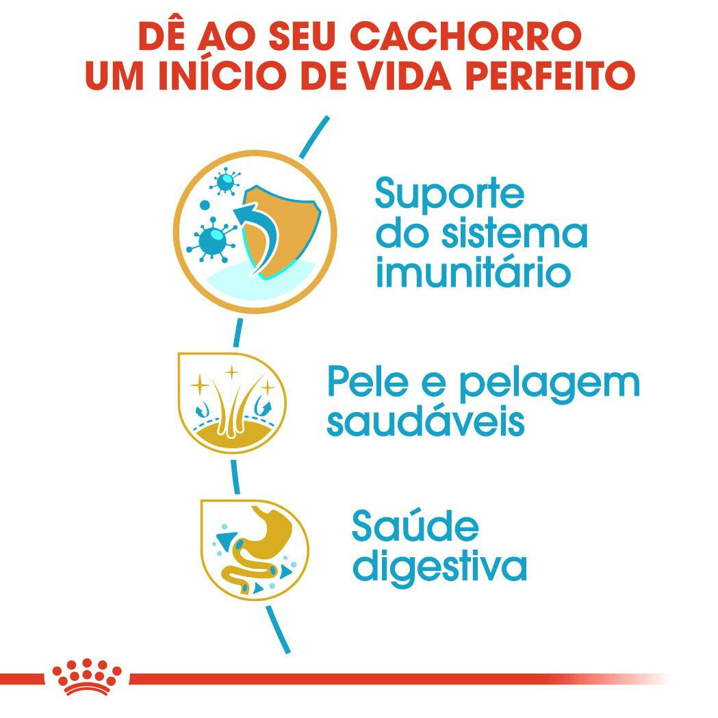 Imagen 6