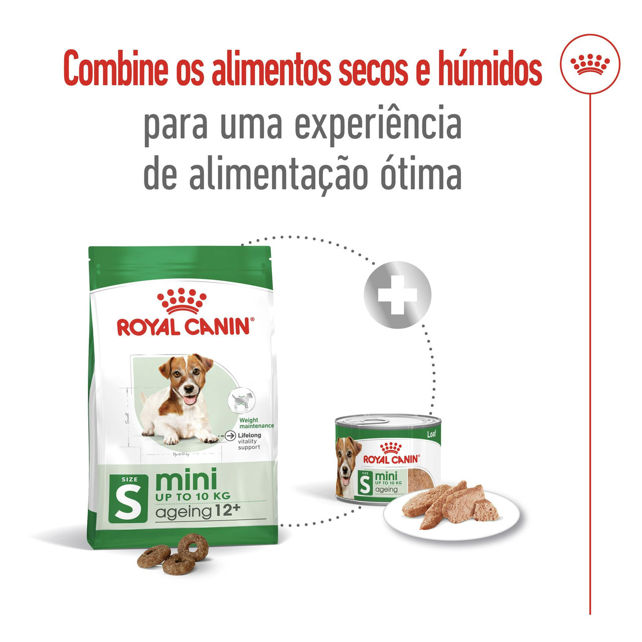 Imagen 8