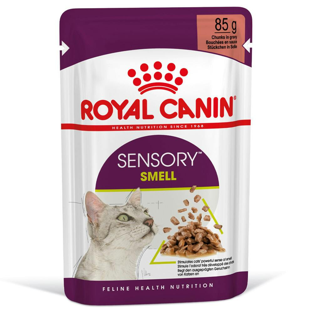 Sensory Smell alimento húmido para gatos (12 x 85 g)