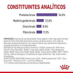 Imagen 6