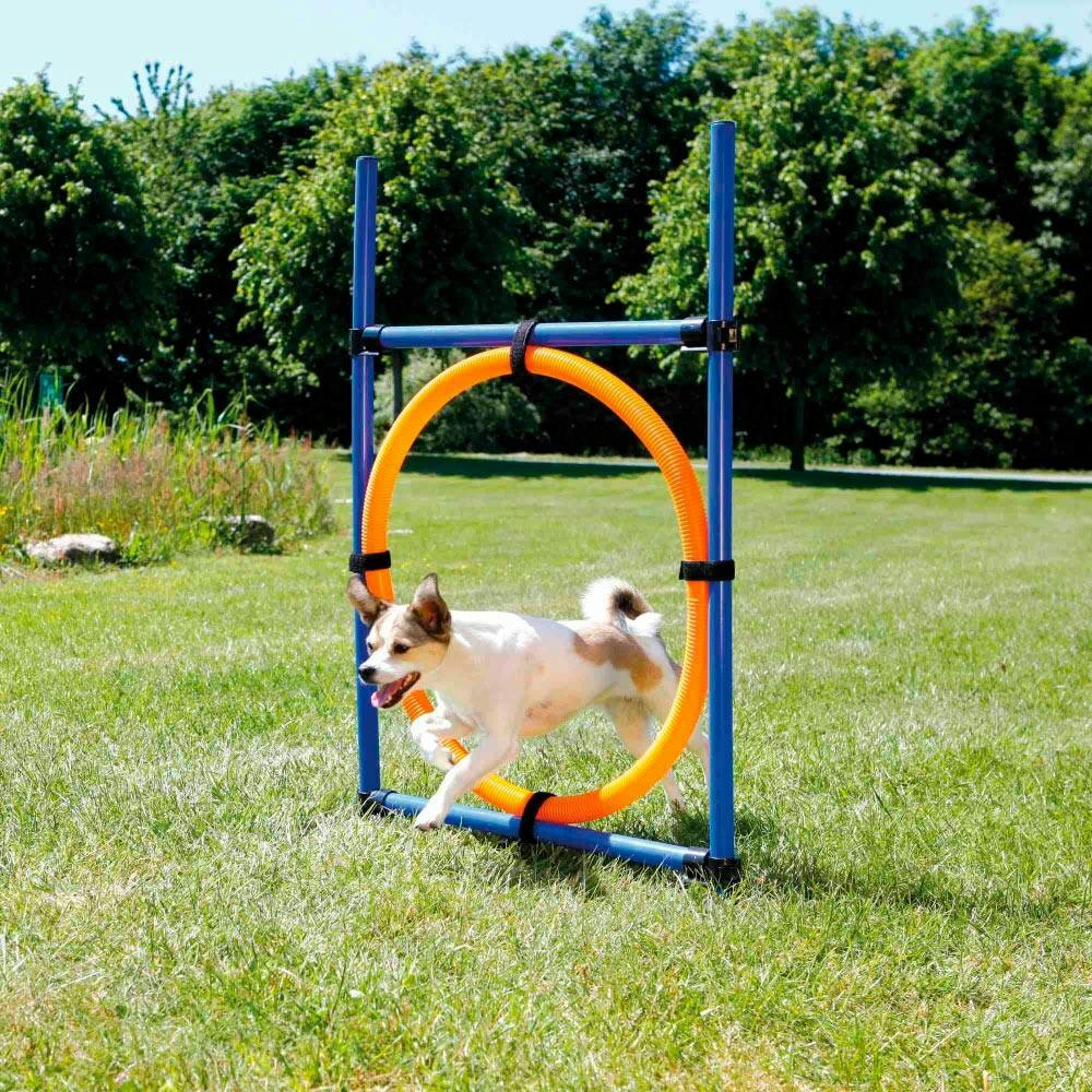 Anel De Salto P/ Agility 115X3 Cm / 65 Cm - TX3208