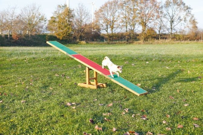 Balance P/ Agility 300X54X34 Cm - TX3213