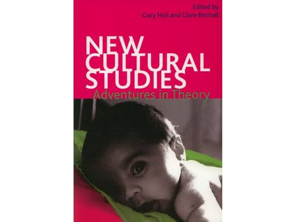New Cultural Studies by Edited by Gary Hall and Clare Birchall (English)