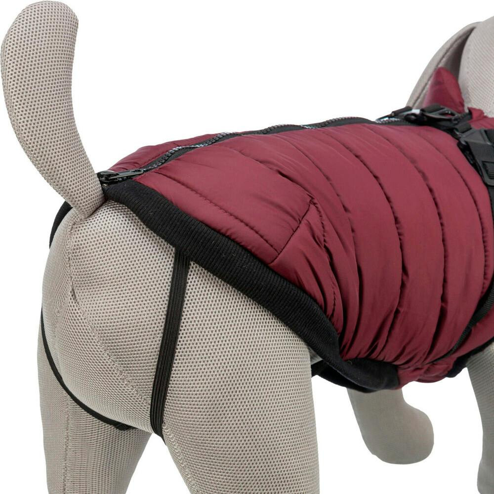Imagen 6