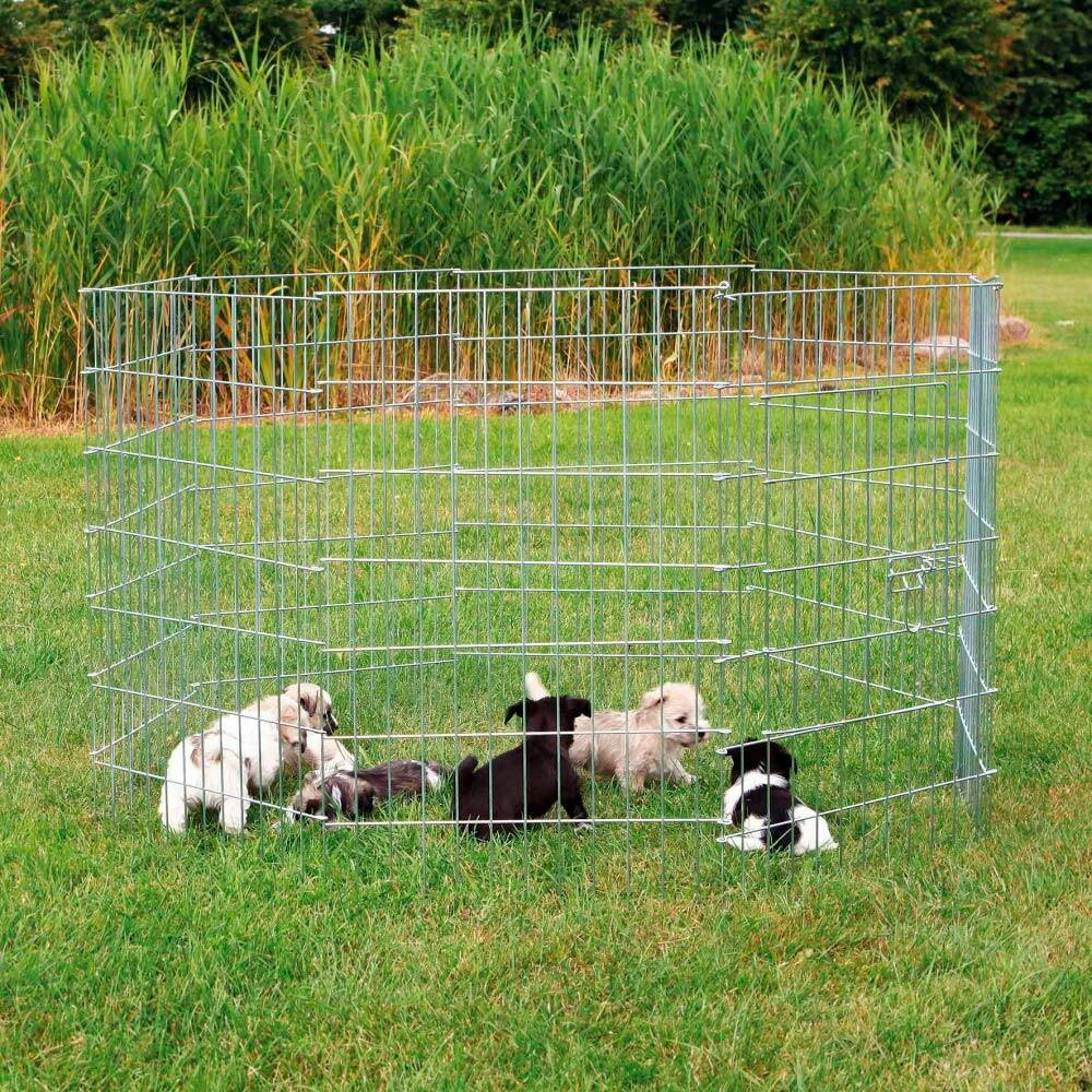 Recinto Galvanizado C/ Porta P/ Cachorros - TX3954