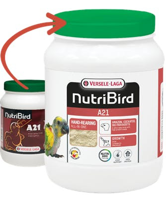 NutriBird A21 800 g - 5410340221747