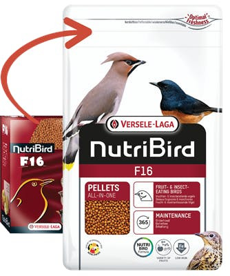 NutriBird F16 800 g - 5410340221112