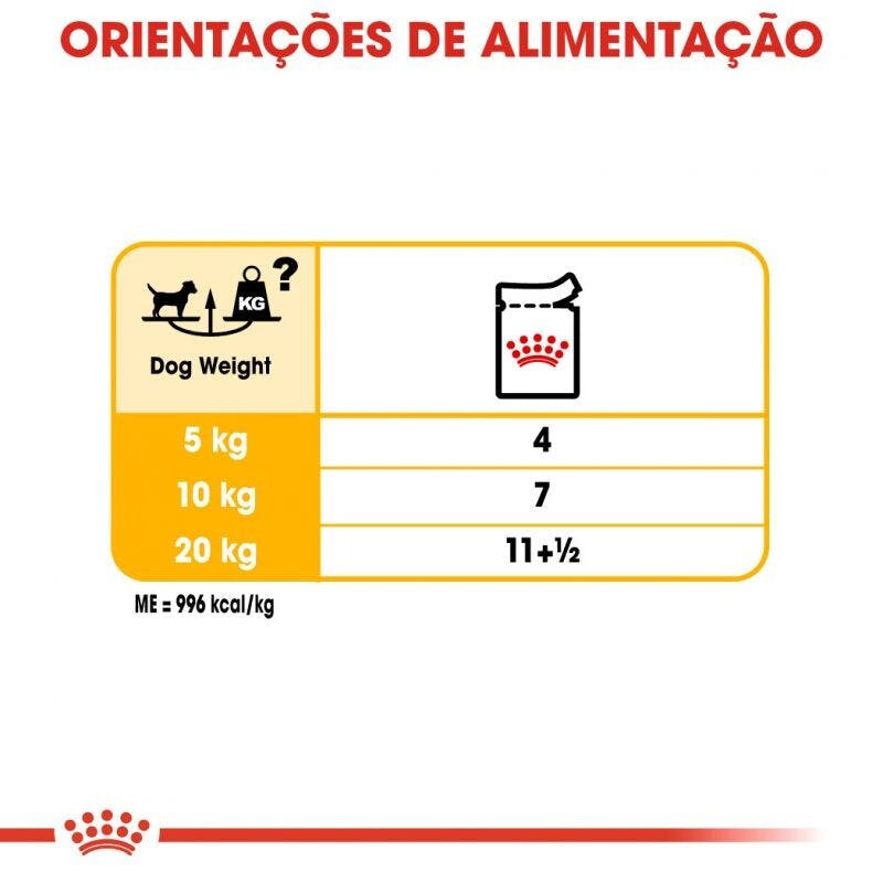 Imagen 5