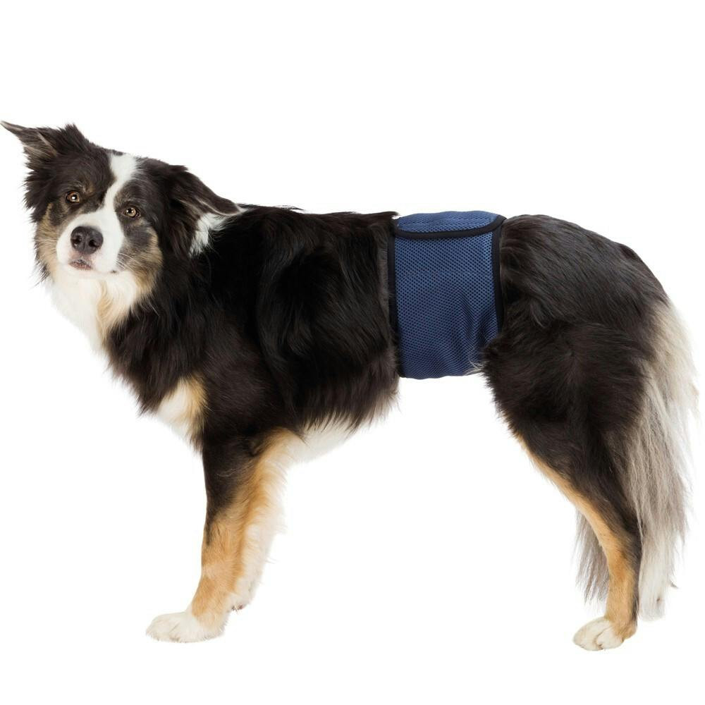 Banda P/ Caes Incontinentes (L) 55-65 Cm  (Azul Escuro) - TX23664