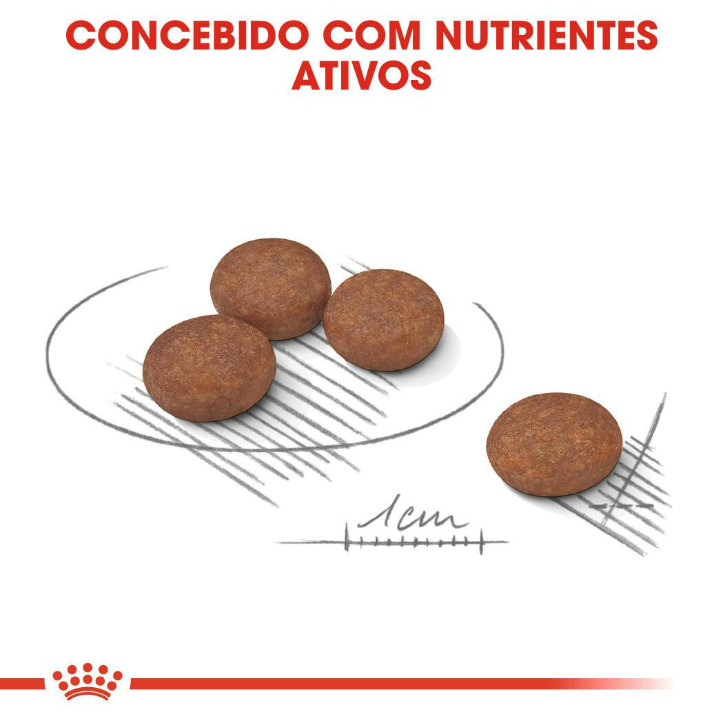 Imagen 4