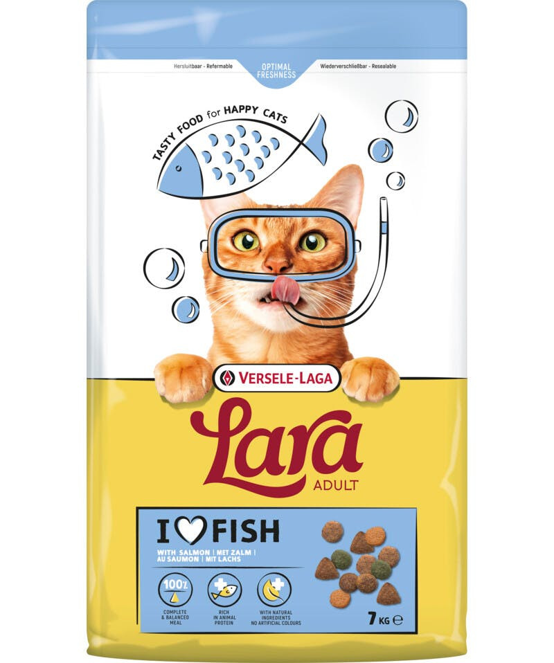 Comida para gatos Adulto salmão
