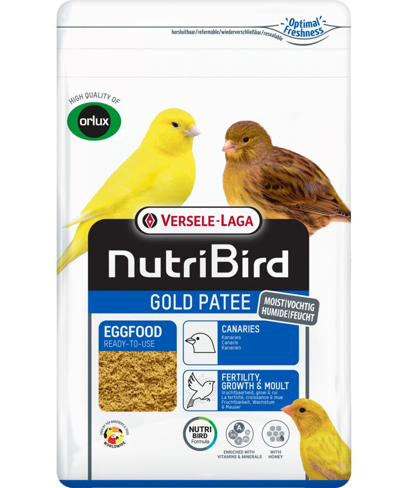 Gold Patee Canarios 10 kg - 5410340222539