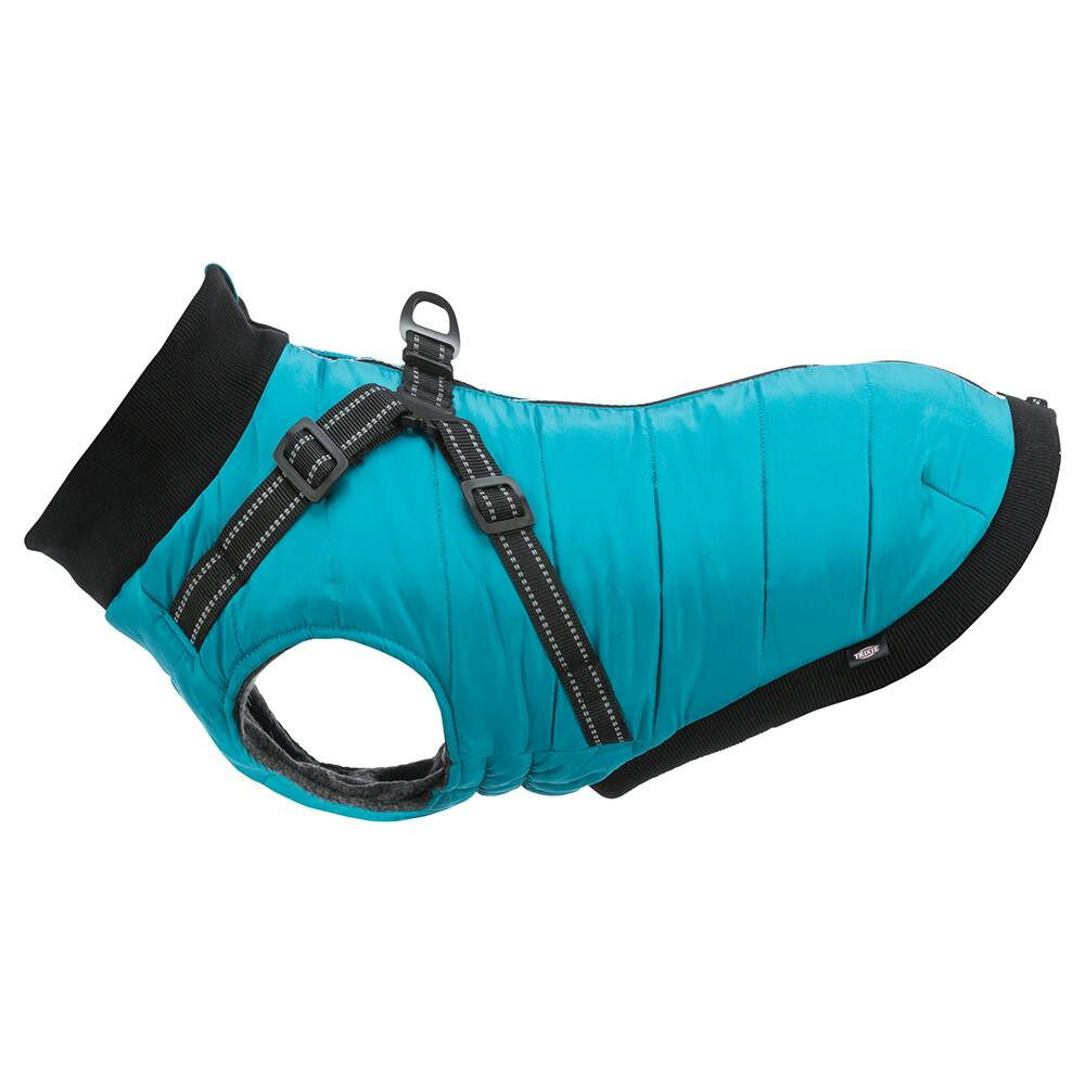 Capa Pontis C/ Peitoral P/ Caes 27 Cm (Azul Turquesa) - TX680350