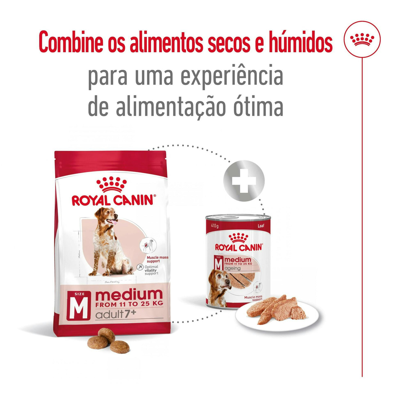 Imagen 8