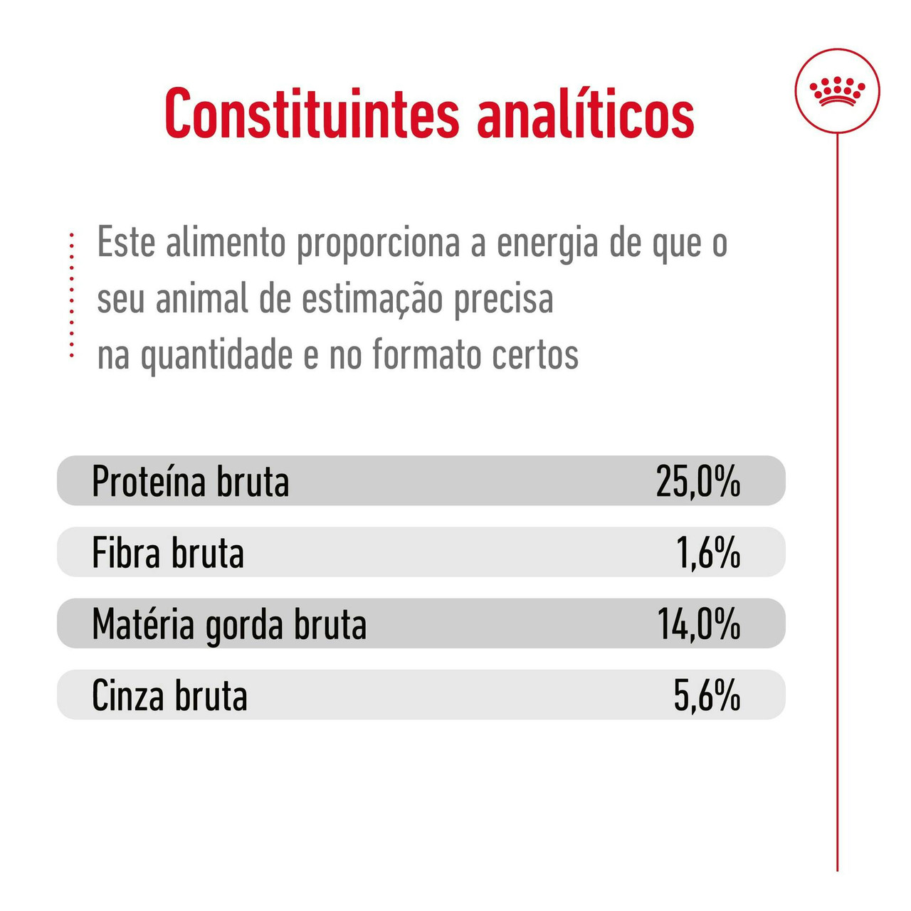 Imagen 9