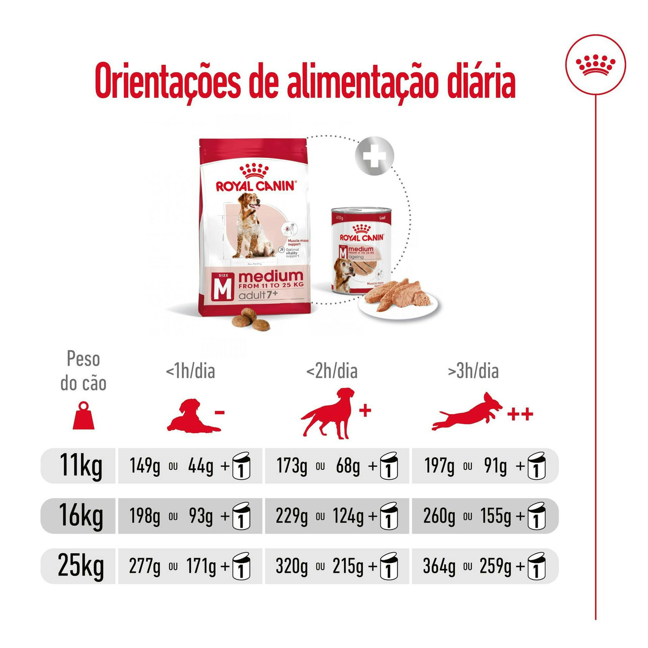 Imagen 10