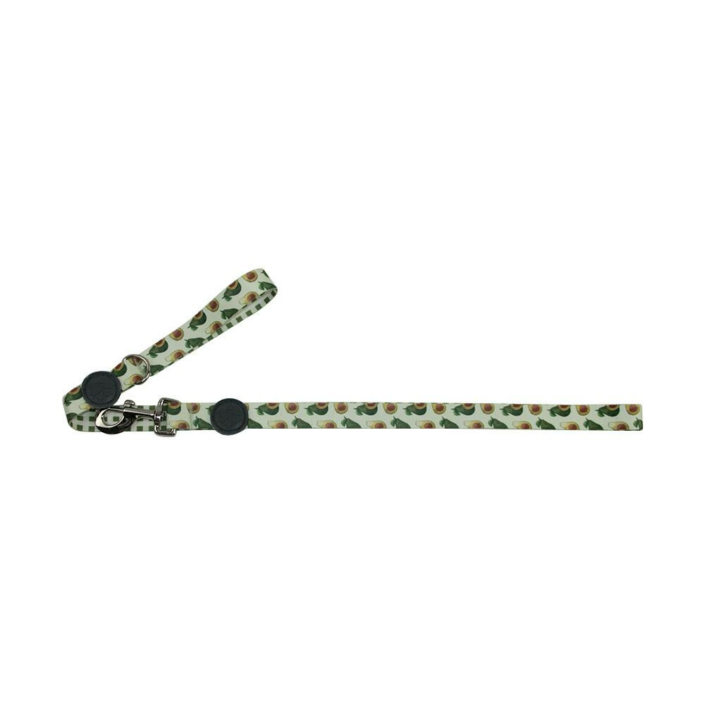 Trela Abacate (L-Xl) 140 Cm / 25 Mm - DT4431