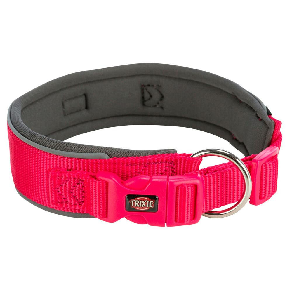 Coleira Premium Extra Larga 27-35Cm/25Mm (Fucshia/Grafite) - TX1995911