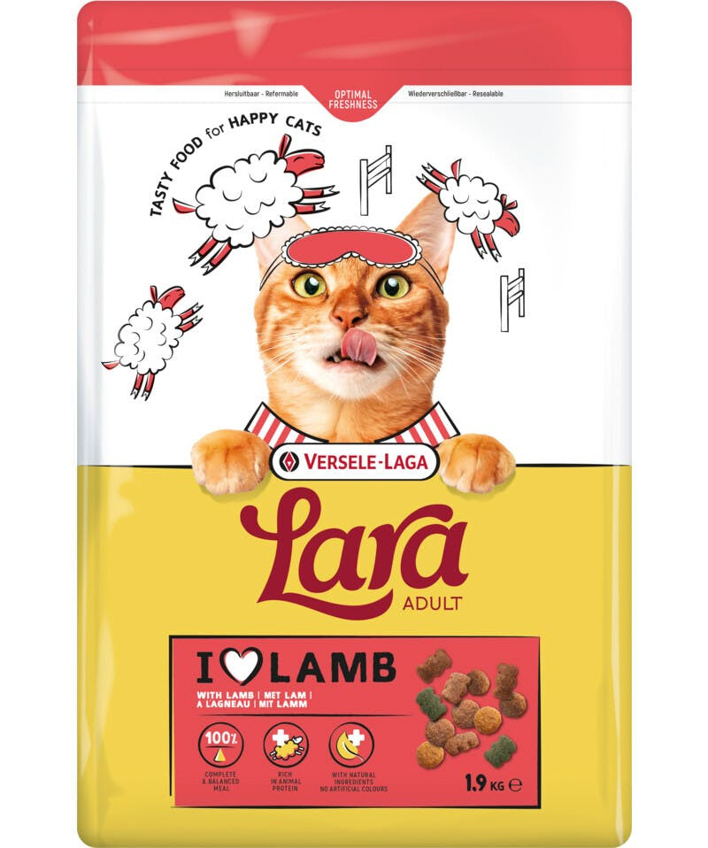 Alimento seco para gatos adulto sabor borrego