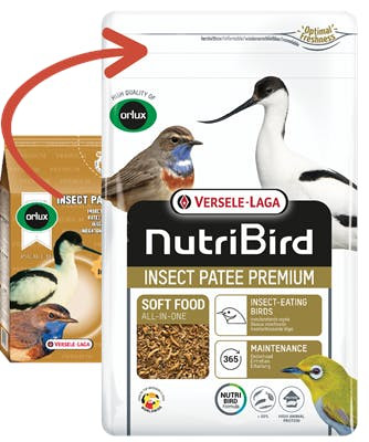 Insect Patee Premium 500 g - 5410340221525
