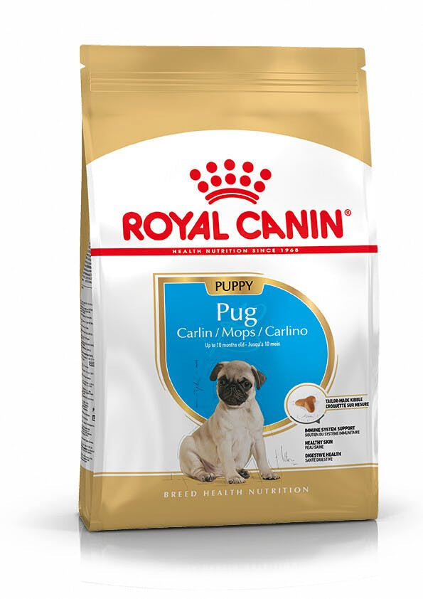 Pug Puppy alimento seco para cão